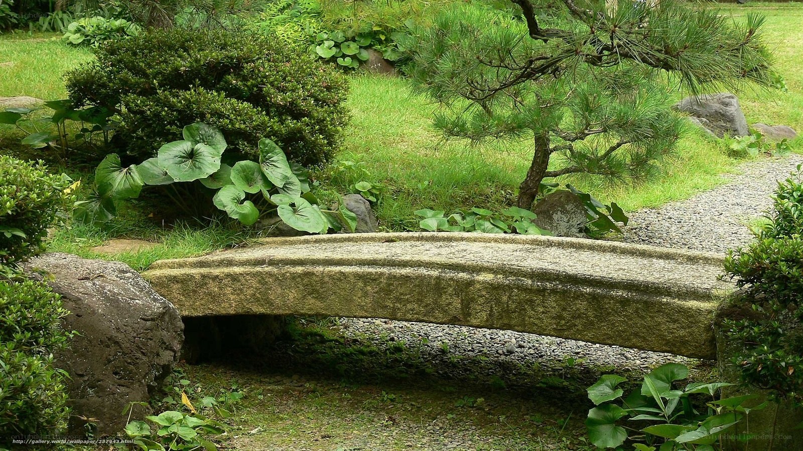 Stone bridge in garden