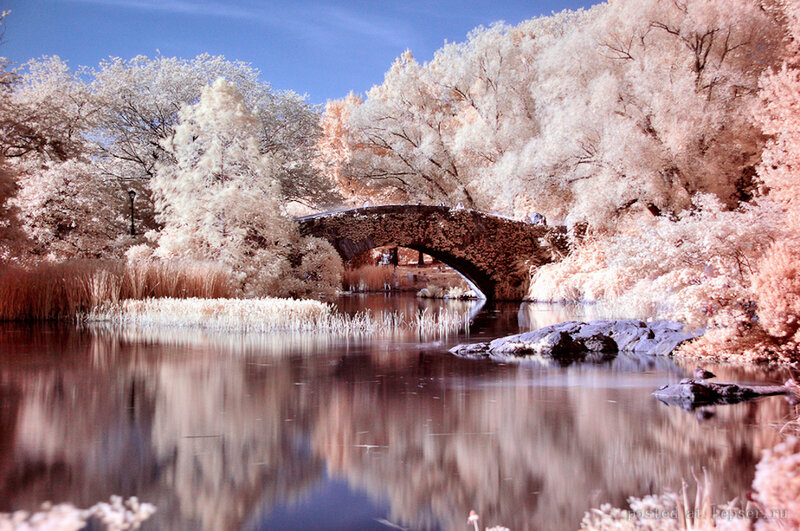 Stone Bridge in Park — Blue