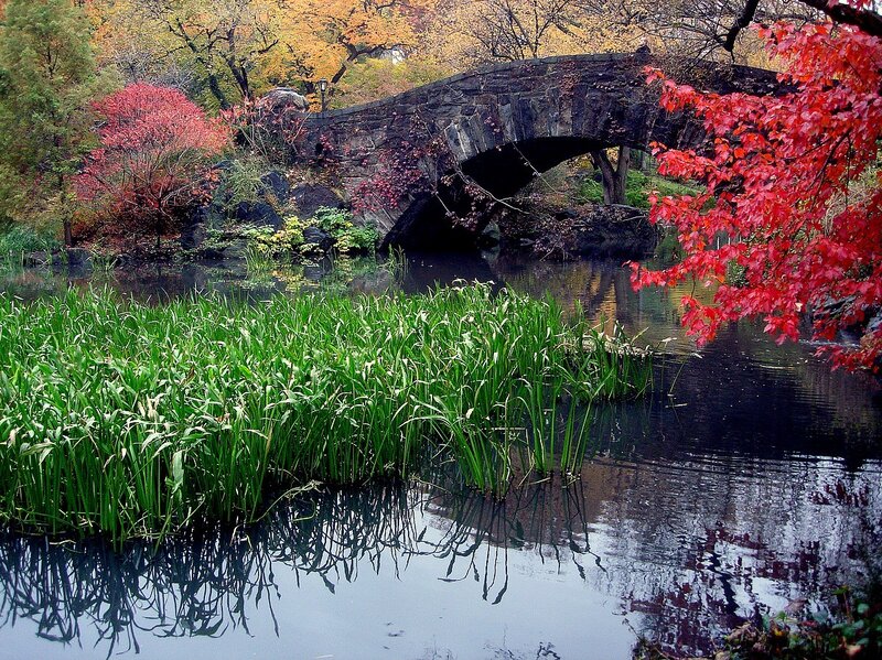 Stone Bridge in Park — Green, Serene, Autumn, Photograph, River