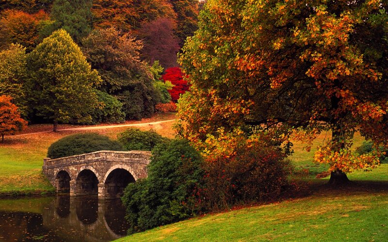 Stone Bridge in Park — Green, Serene, Autumn