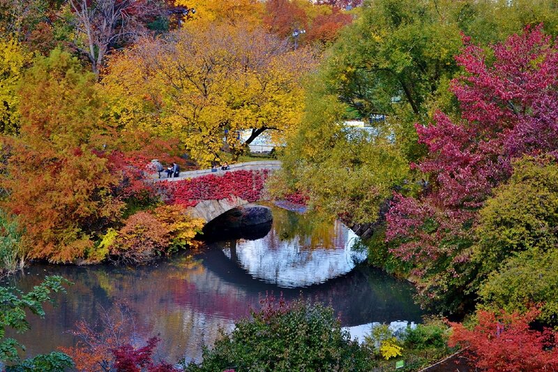 Stone Bridge in Park — Red, Serene