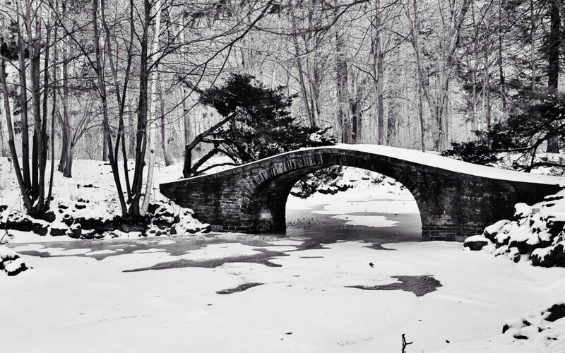 Stone Bridge in Snow — Black
