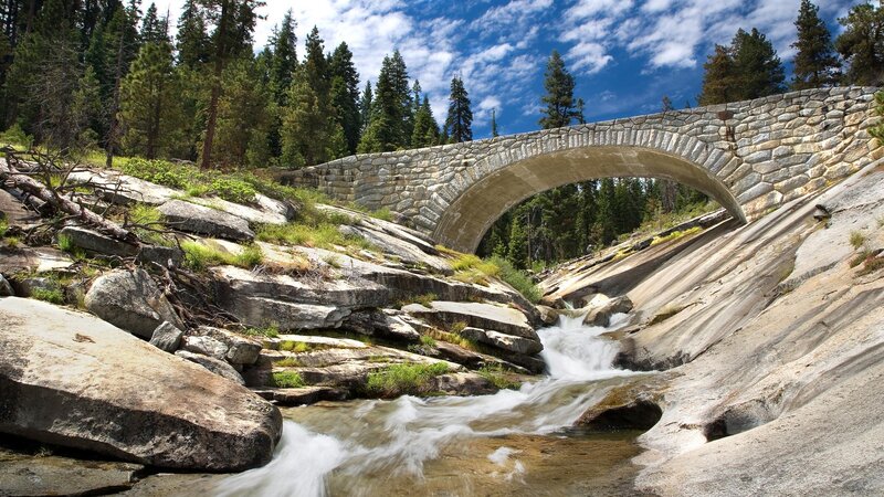 Stone bridge over a forest stream