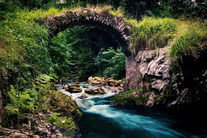 Stone bridge over a forest stream