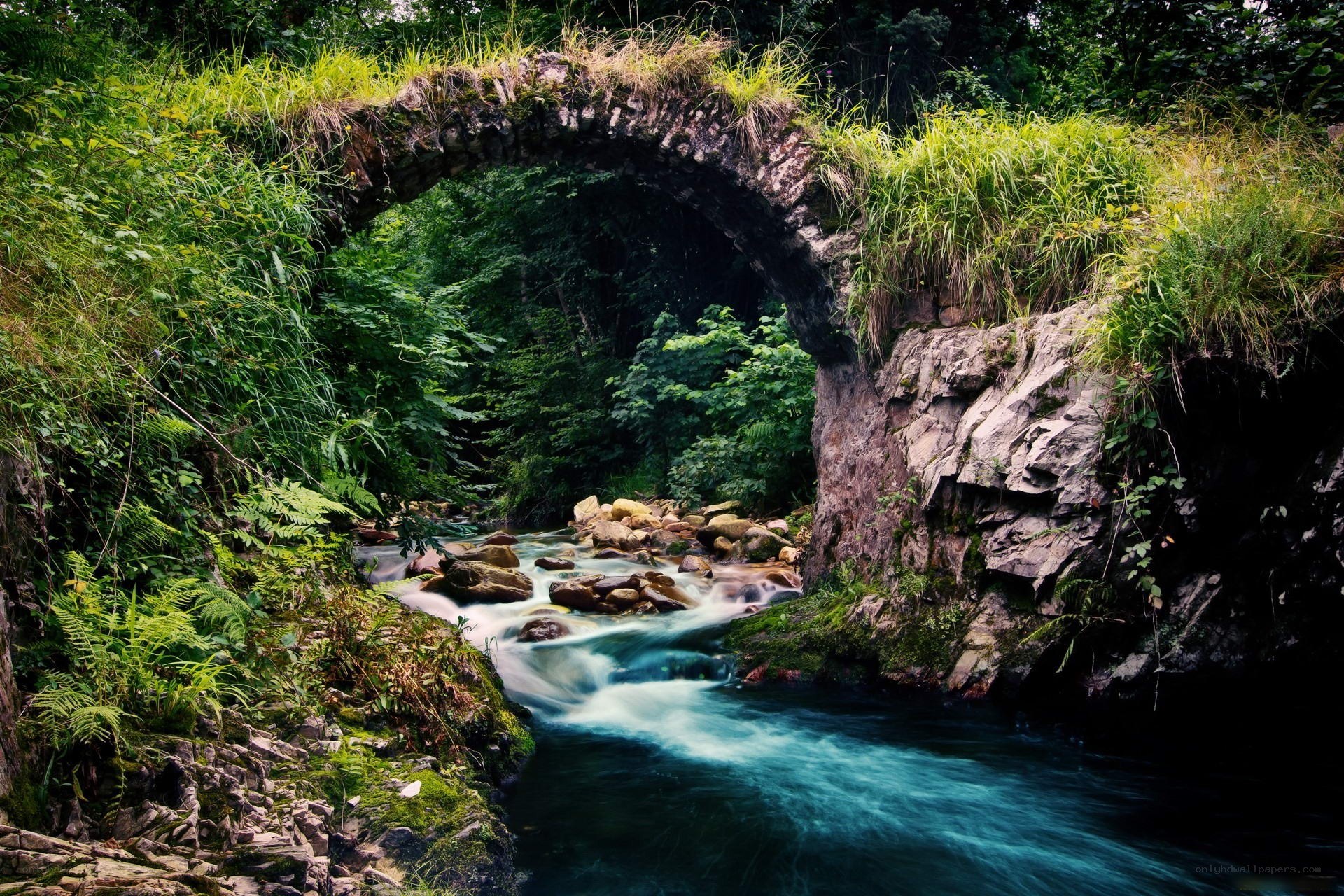 Stone bridge over a forest stream