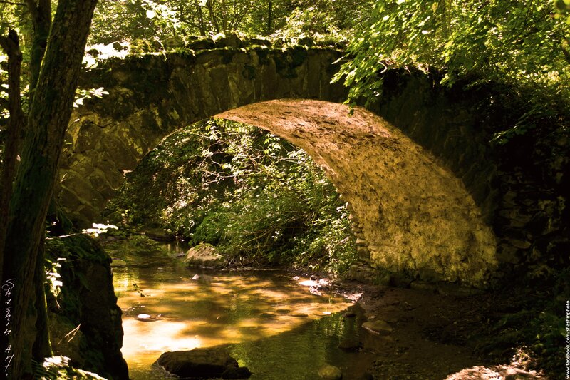 Stone bridge over a forest stream