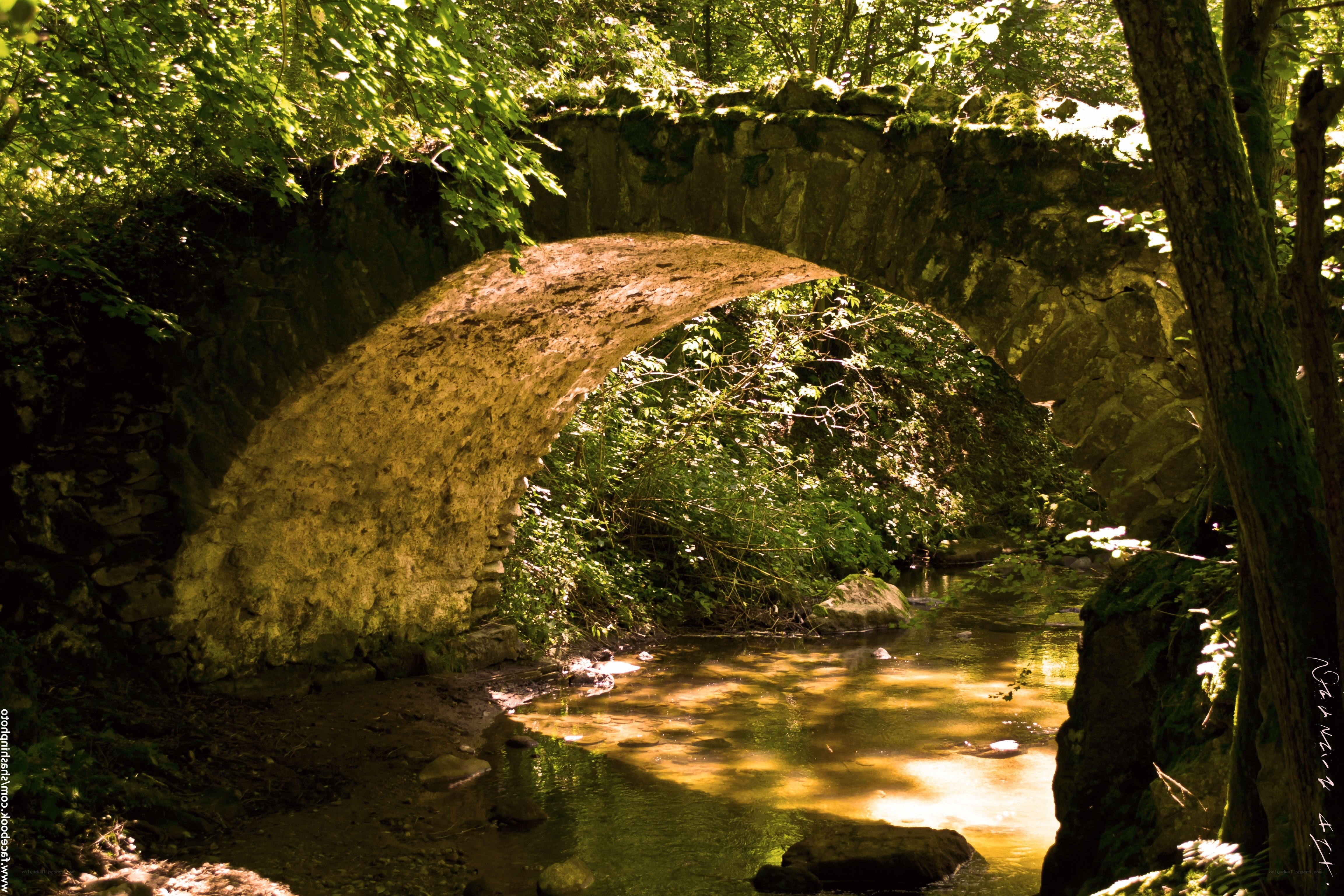 Stone bridge over a forest stream