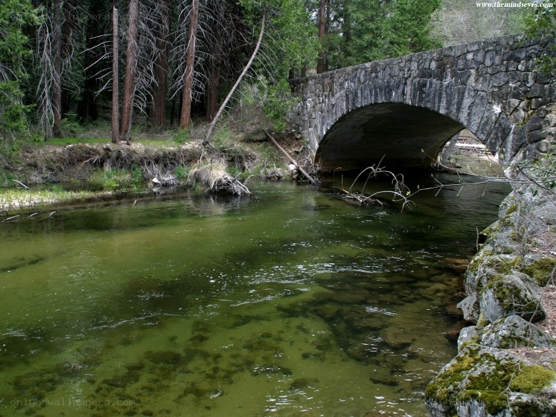 Stone bridge over a forest stream