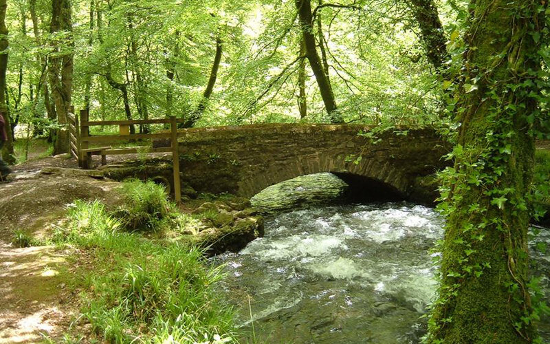 Stone bridge over a forest stream