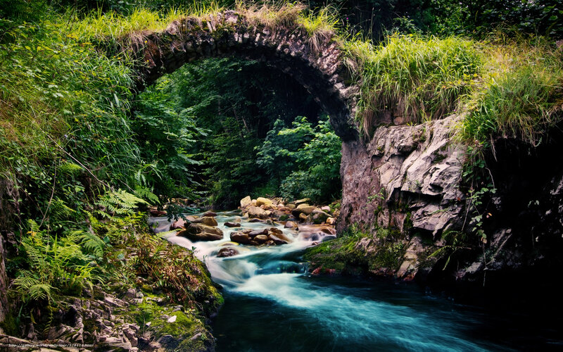 Stone bridge over a forest stream