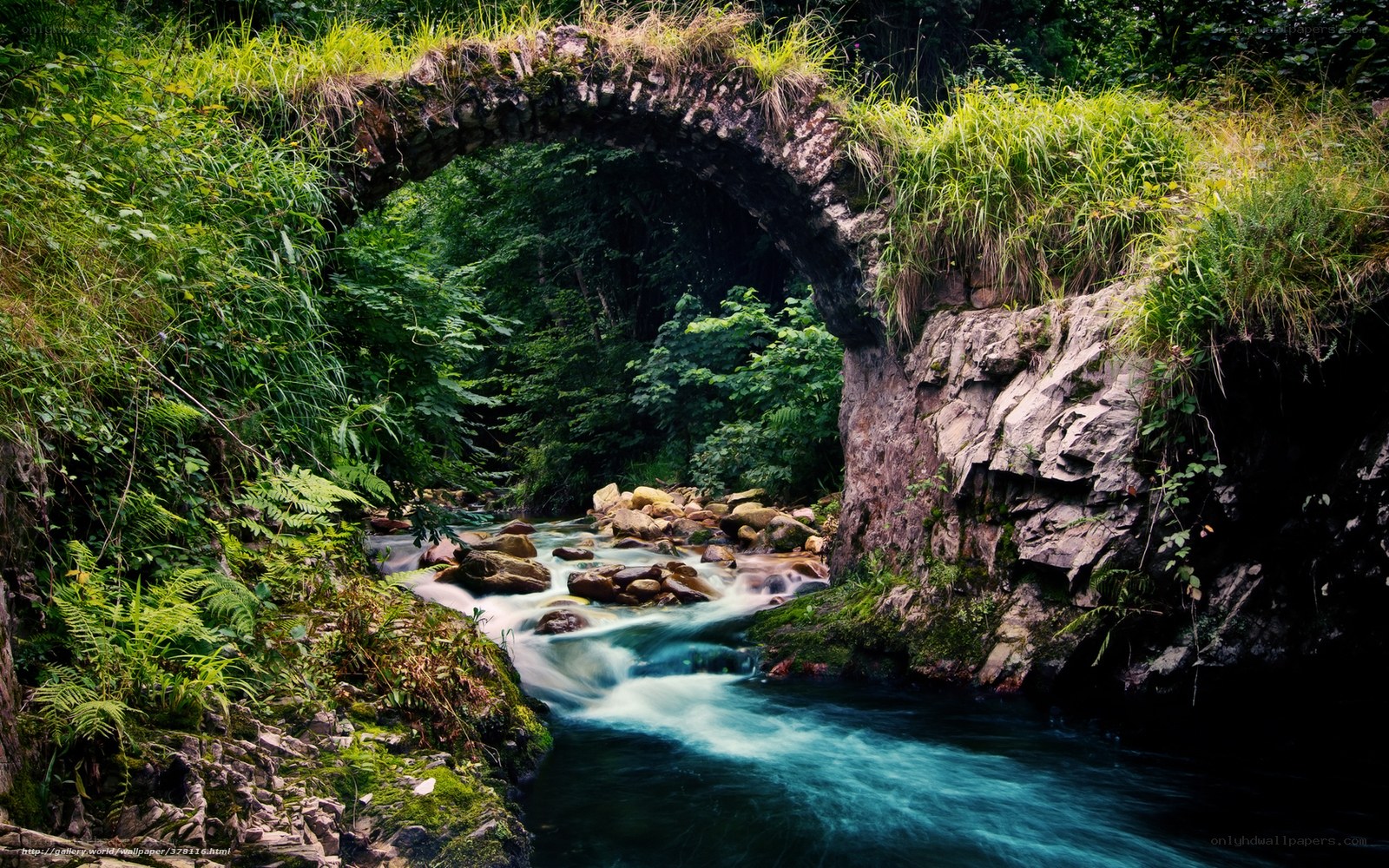 Stone bridge over a forest stream
