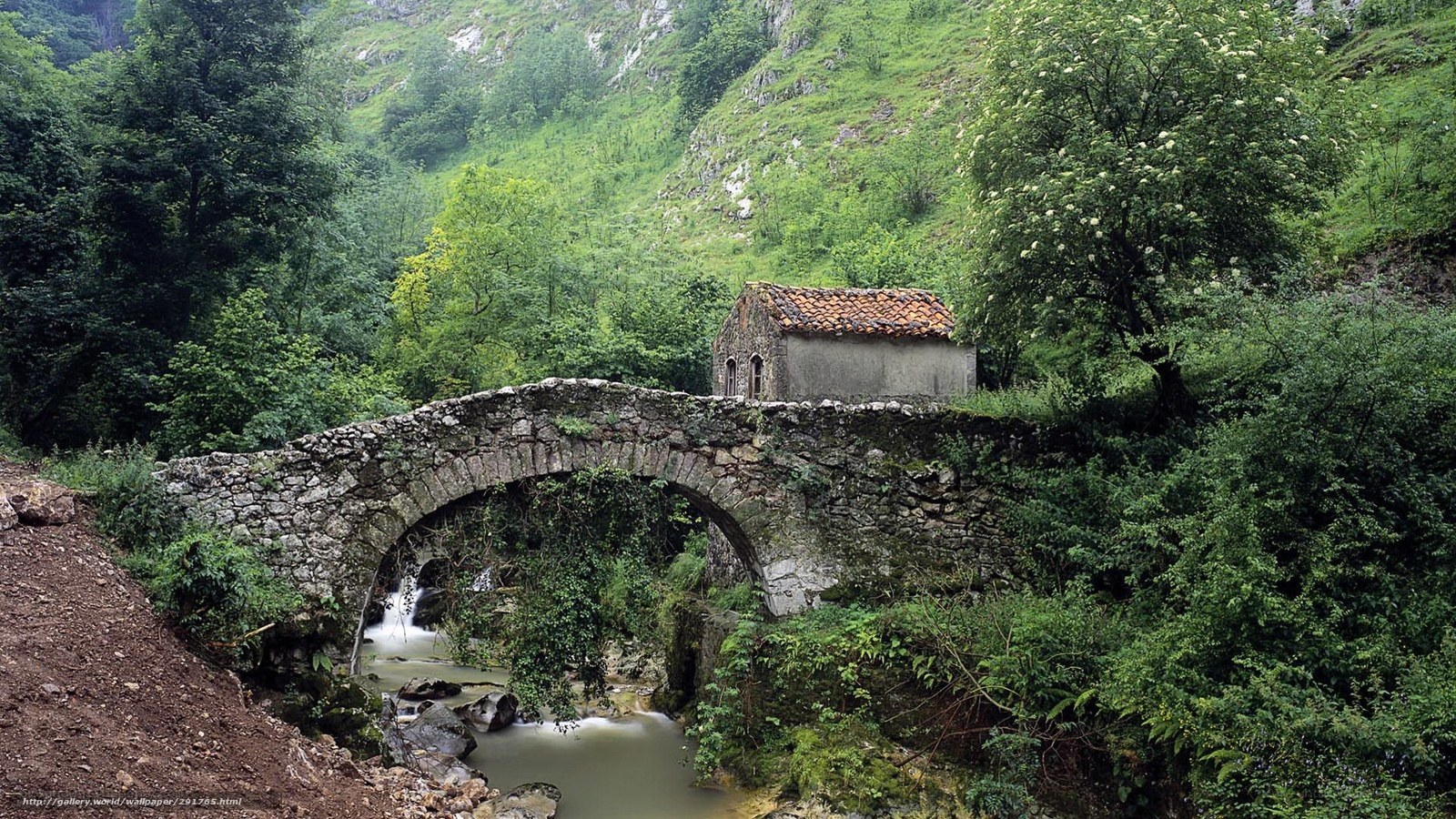 Stone bridge over a river