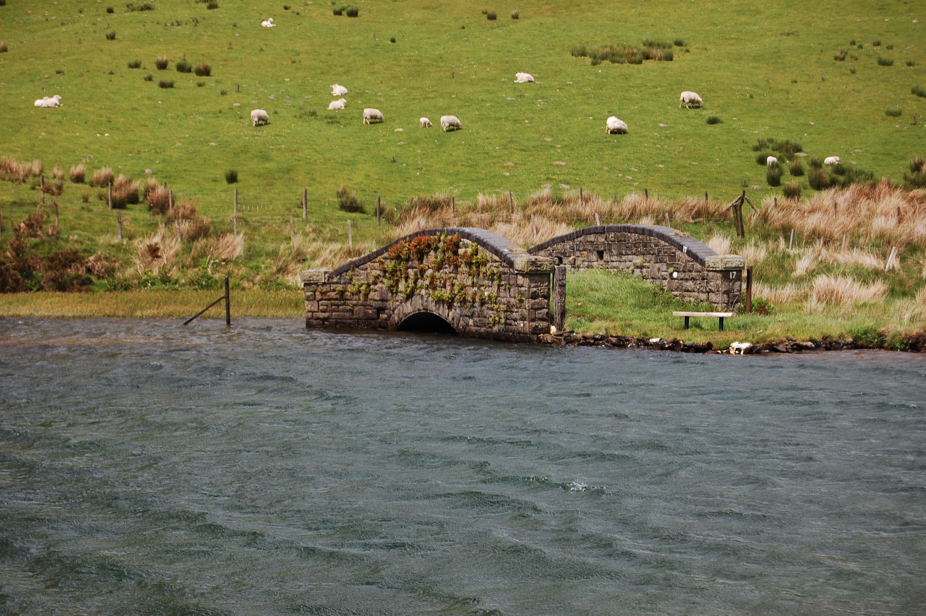 Stone bridge over a river