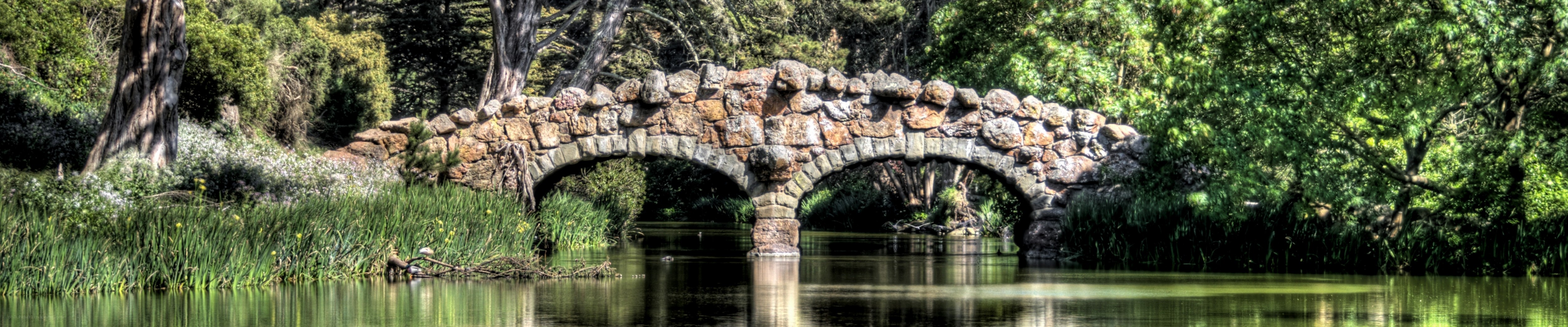 Stone bridge over a serene pond