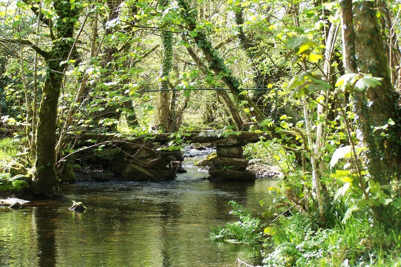 Stone bridge over forest stream