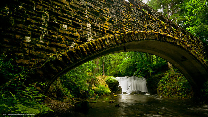 Stone bridge over forest waterfall