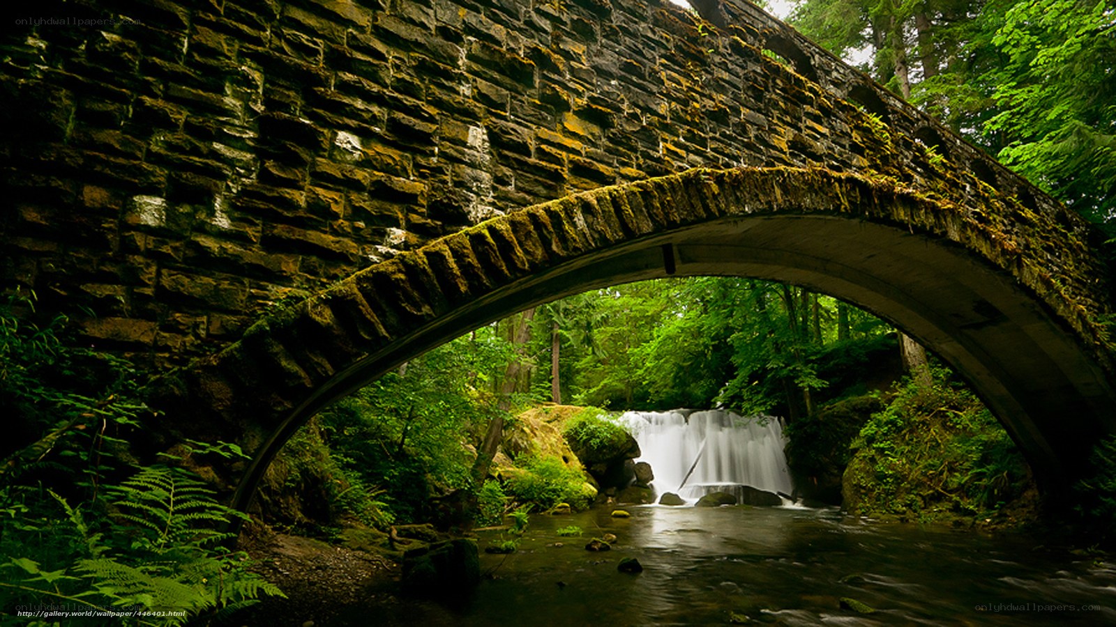 Stone bridge over forest waterfall