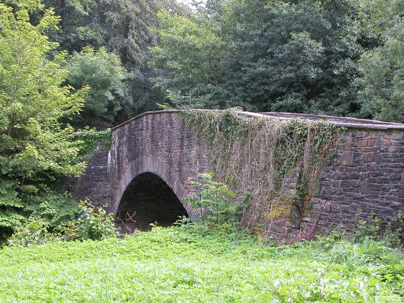 Stone bridge over greenery