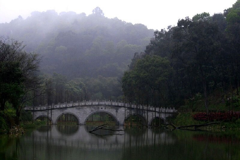 Stone Bridge over Lake — Green, Misty