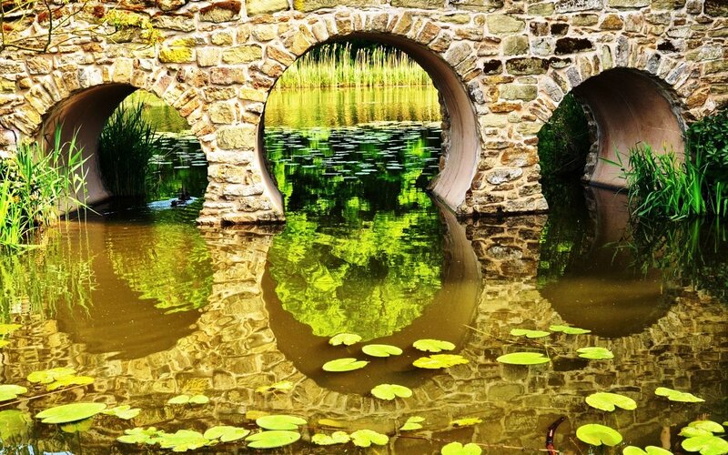 Stone Bridge over Pond — Green, Serene, Afternoon, Photograph, Lily Pads