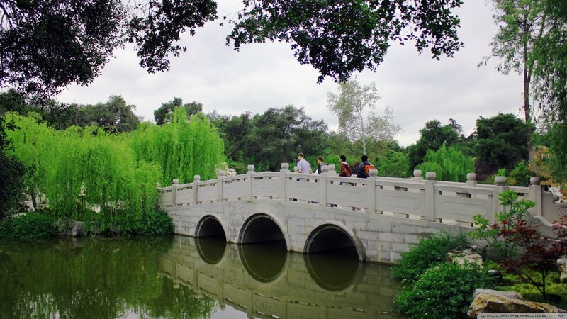 Stone Bridge over Pond — Green, Serene, Afternoon, Photograph, People