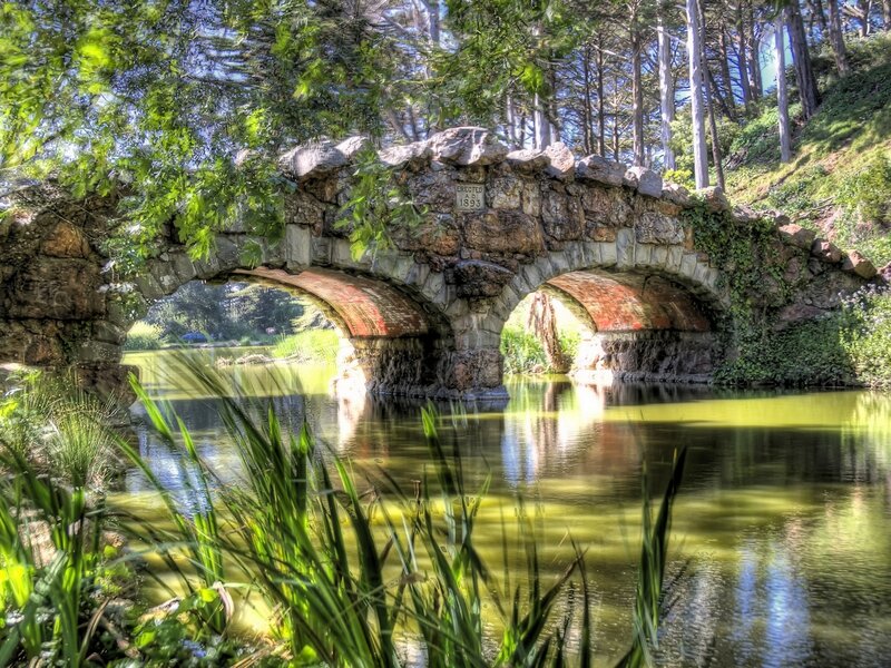 Stone Bridge over Pond — Green, Serene, Afternoon, Photograph, Trees, Ivy