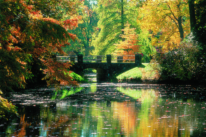 Stone Bridge over Pond — Green, Serene, Autumn