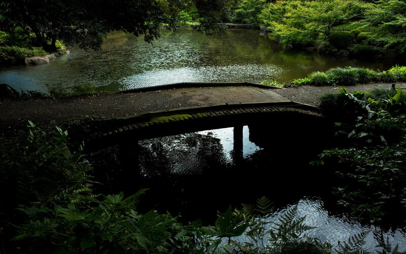 Stone Bridge over Pond — Green, Serene, Photograph
