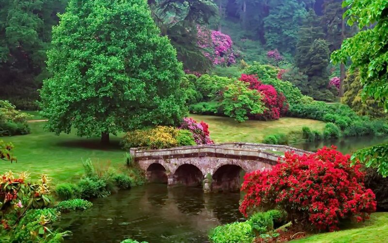 Stone Bridge over Pond — Green, Serene, Spring