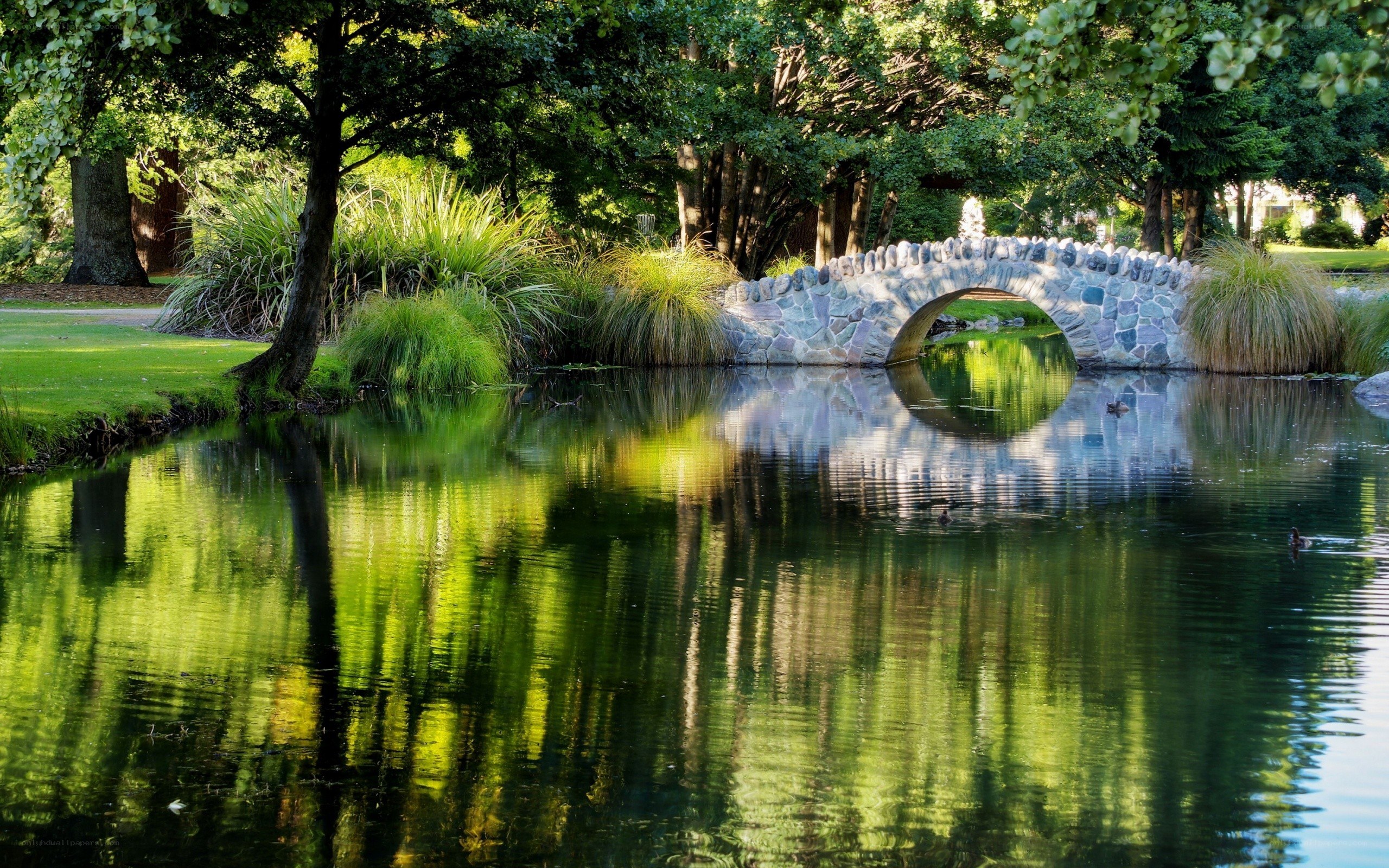 Stone bridge over pond in park