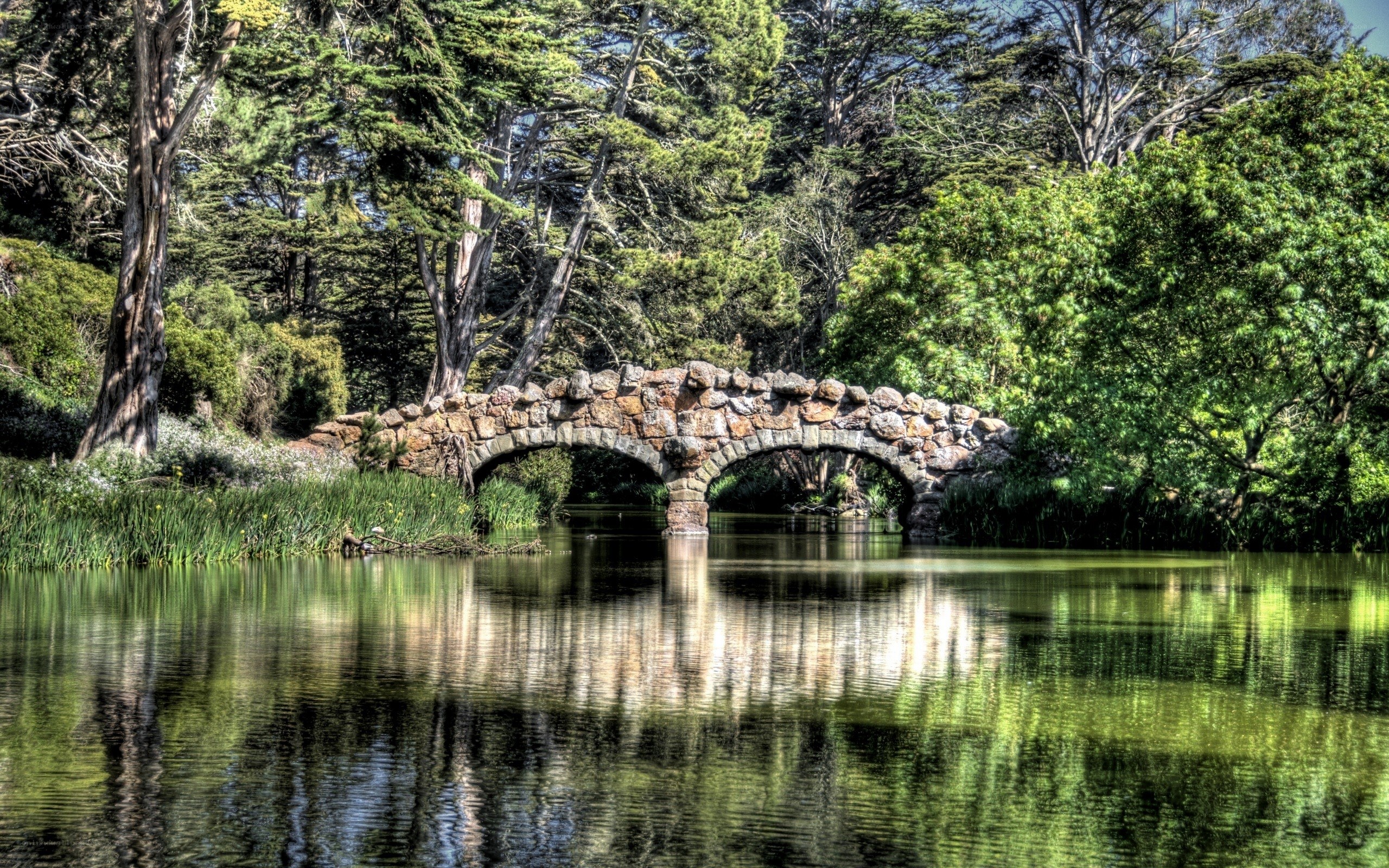 Stone bridge over pond in park