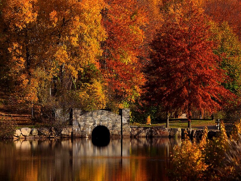 Stone Bridge over Pond — Orange