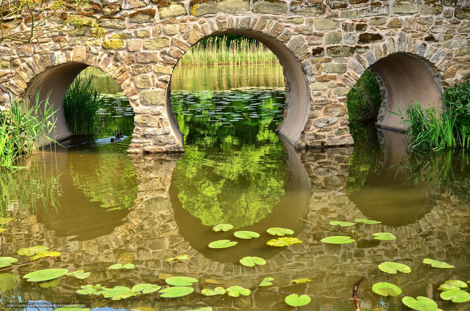 Stone bridge over pond with lily pads