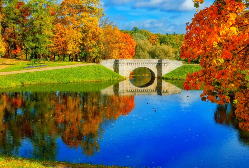 Stone Bridge over River — Blue, Serene, Autumn, Photograph, Trees, Path, Sky
