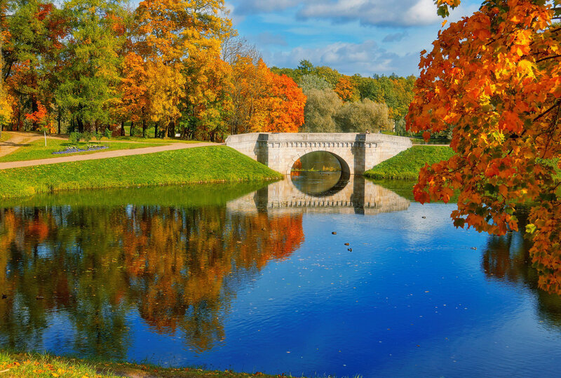 Stone Bridge over River — Blue, Serene, Autumn, Photograph, Trees, Path