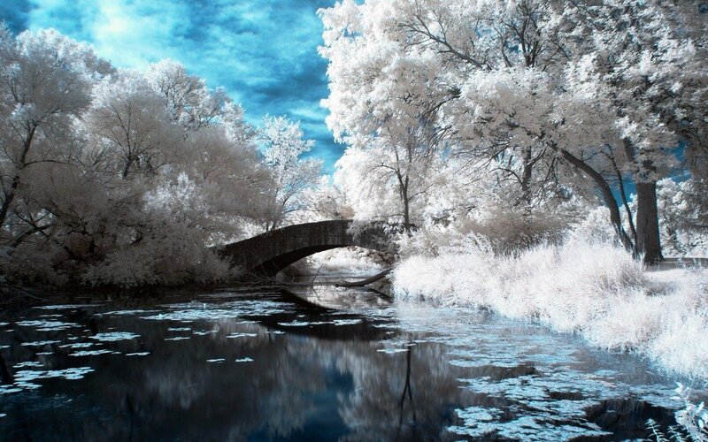 Stone Bridge over River — Blue, Serene, Photograph, Trees, Sky