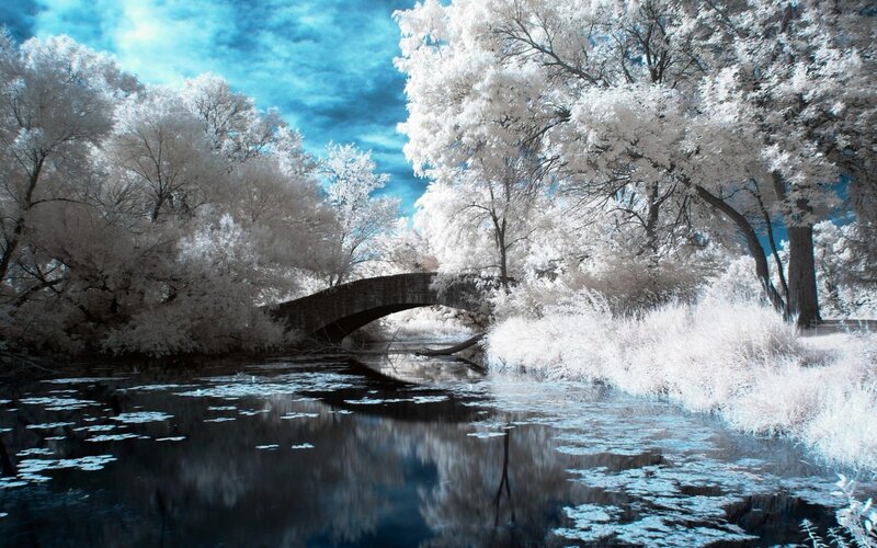Stone Bridge over River — Blue, Serene, Photograph, Trees