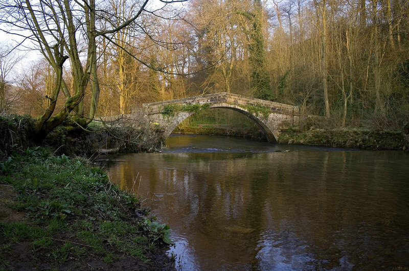 Stone Bridge over River — Brown, Serene, Autumn, Photograph, Trees, Forest, Green