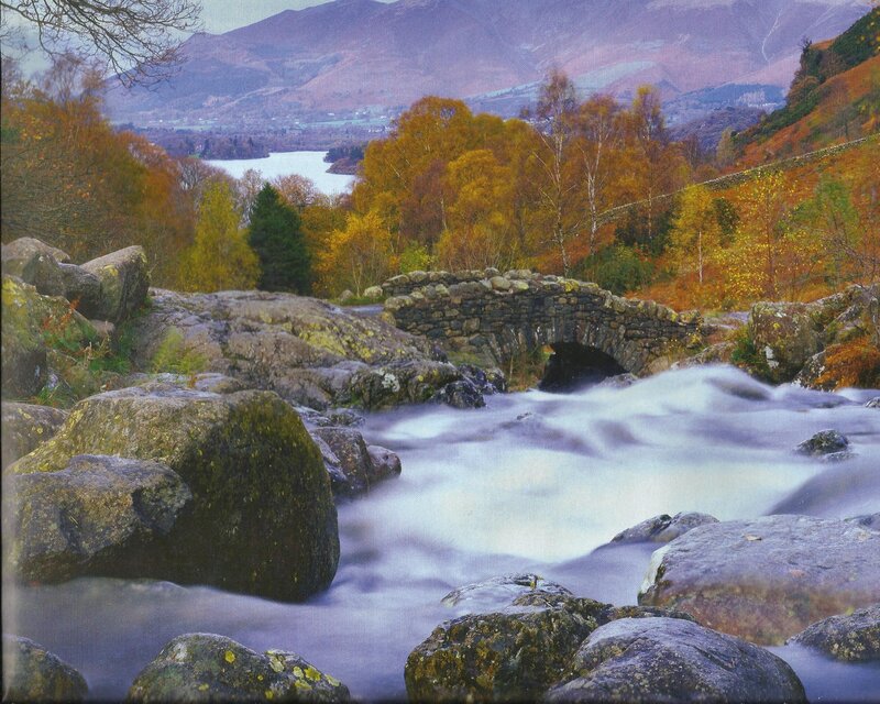 Stone Bridge over River — Brown, Serene, Autumn, Photograph, Trees