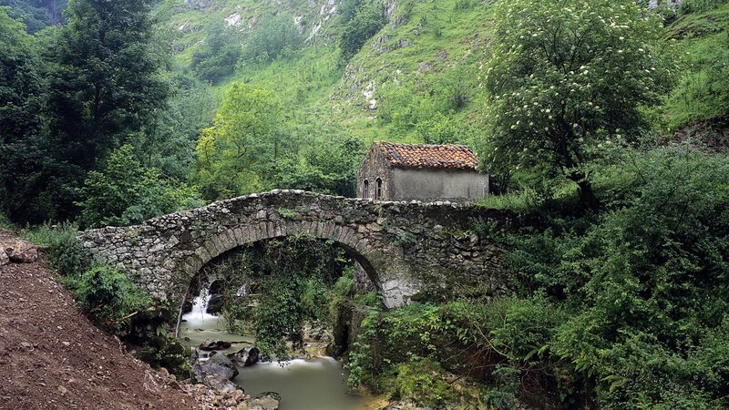 Stone Bridge over River — Green, Serene, Afternoon, Photograph, Trees, Building, Brown