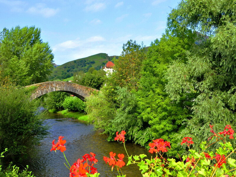 Stone Bridge over River — Green, Serene, Afternoon, Photograph, Trees, Flowers