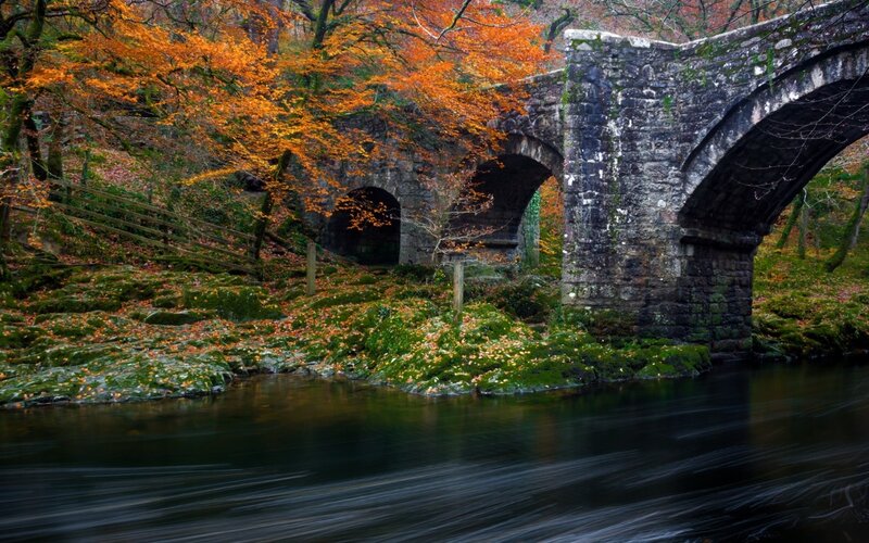 Stone Bridge over River — Green, Serene, Autumn, Photograph, Trees, Fallen Leaves