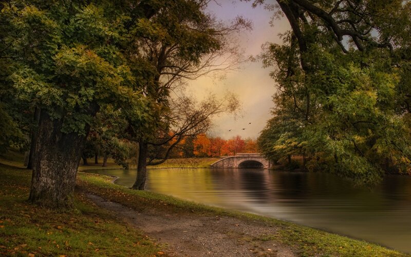 Stone Bridge over River — Green, Serene, Autumn, Photograph, Trees, Path