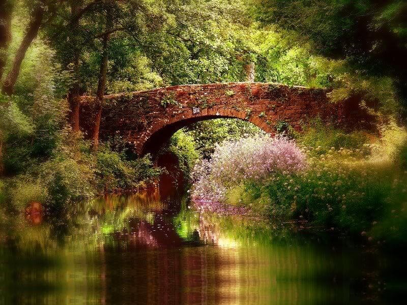 Stone Bridge over River — Green, Serene, Spring, Photograph, Trees, Flowers