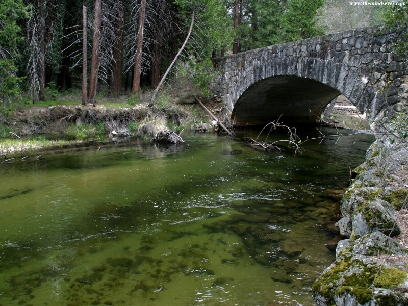 Stone Bridge over River — Green, Serene, Spring, Photograph, Trees, Moss
