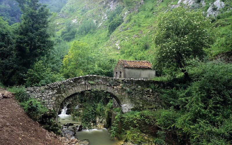 Stone Bridge over River — Green, Serene, Spring, Photograph, Trees