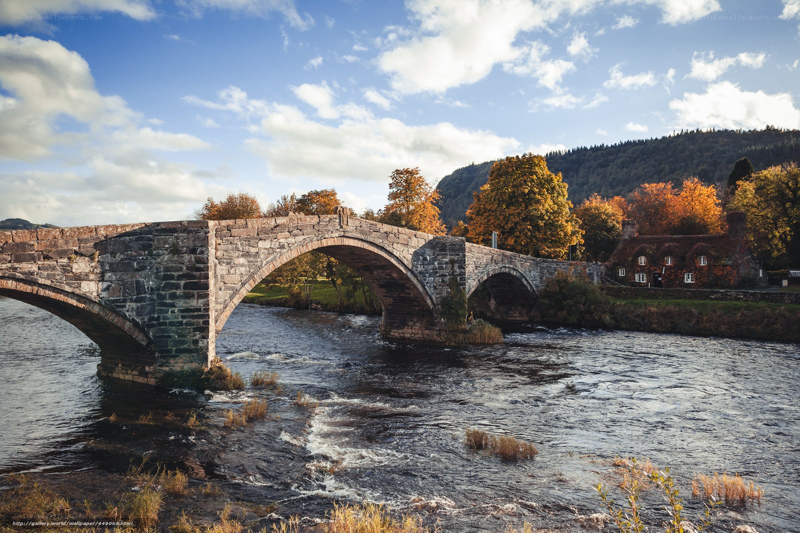 Stone bridge over river in autumn