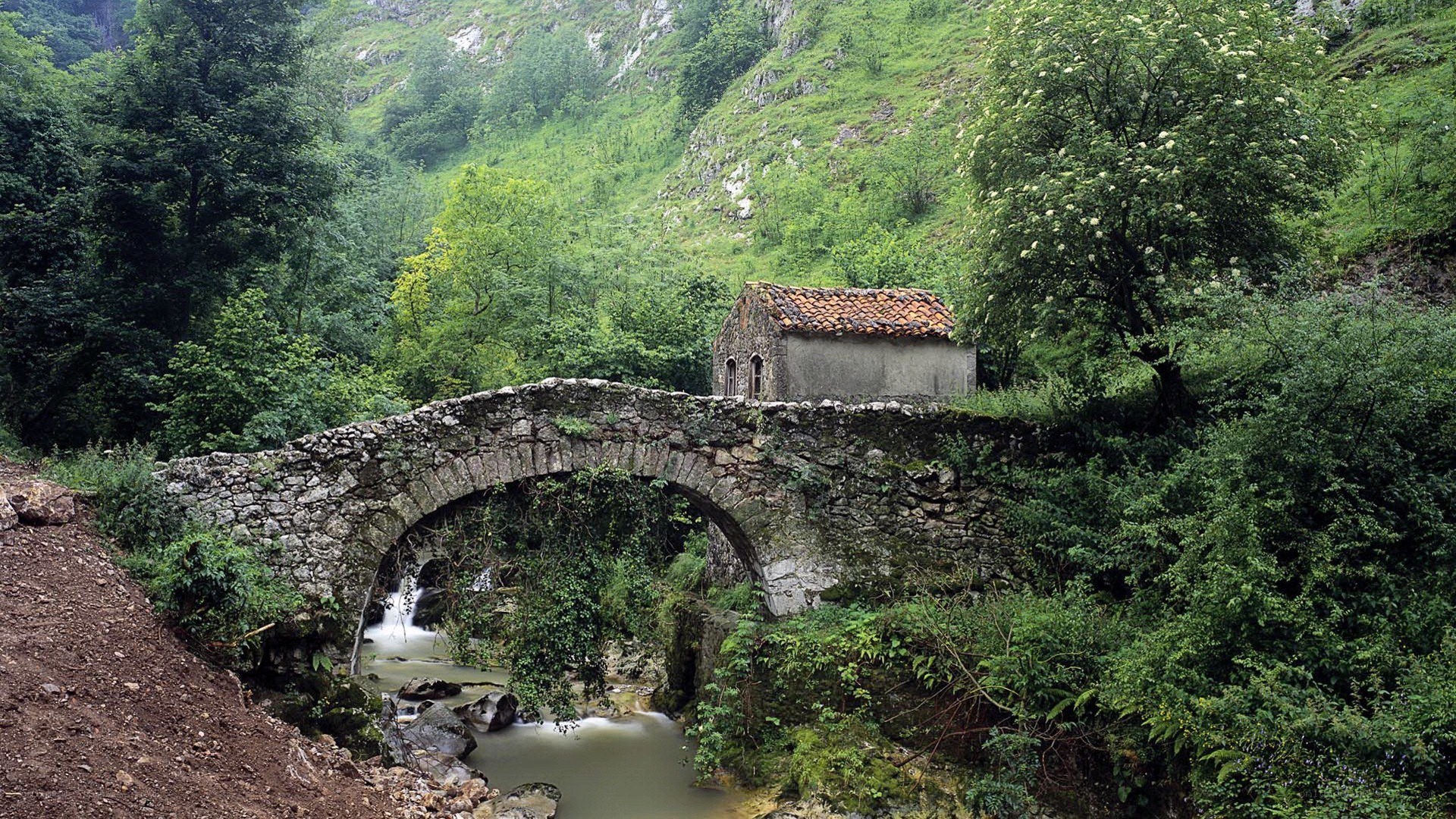 Stone bridge over river in forest
