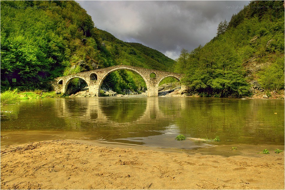 Stone bridge over river in forest