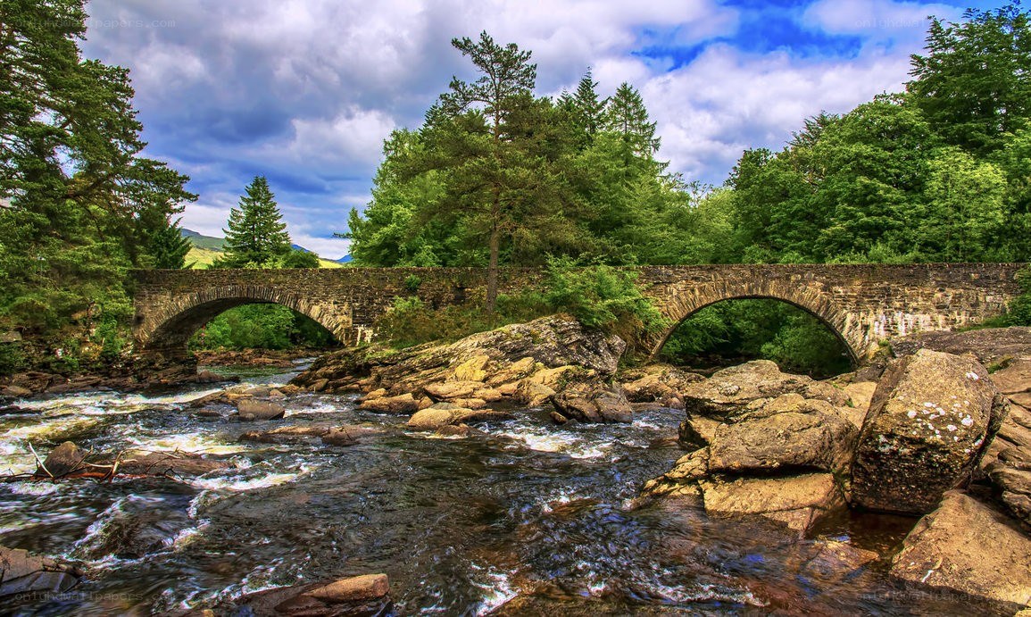 Stone bridge over river in forest